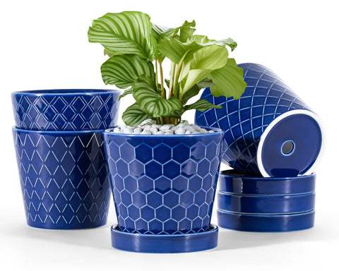 BUYMAX ceramic plant pot with 5-inch blue glaze, ideal for small herbs on a windowsill.