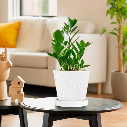 BUYMAX ceramic pot white drainage-hole close-up promotes proper watering and root safety.