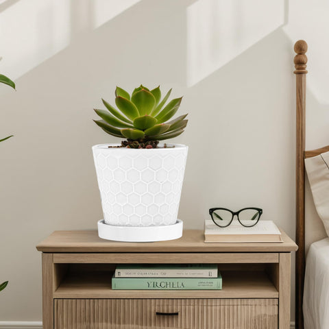 BUYMAX ceramic pot white with tray showcases neat setup for desk or windowsill decor.