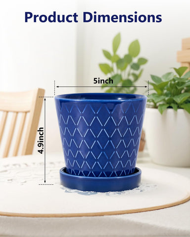 BUYMAX blue ceramic tray catches excess water for tidy windowsill setups.