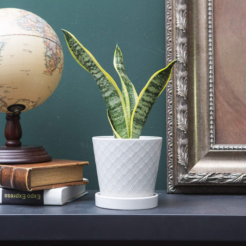 BUYMAX ceramic tray in white catches moisture and protects surfaces.
