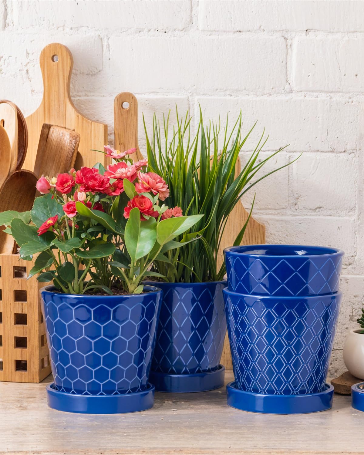 BUYMAX cone-shaped ceramic planter with blue stripes for home or office decor.