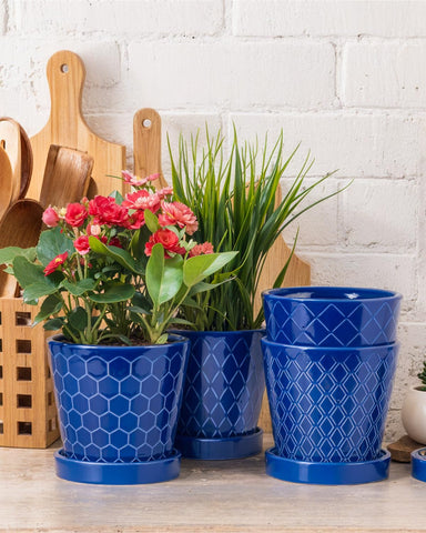 BUYMAX cone-shaped ceramic planter with blue stripes for home or office decor.
