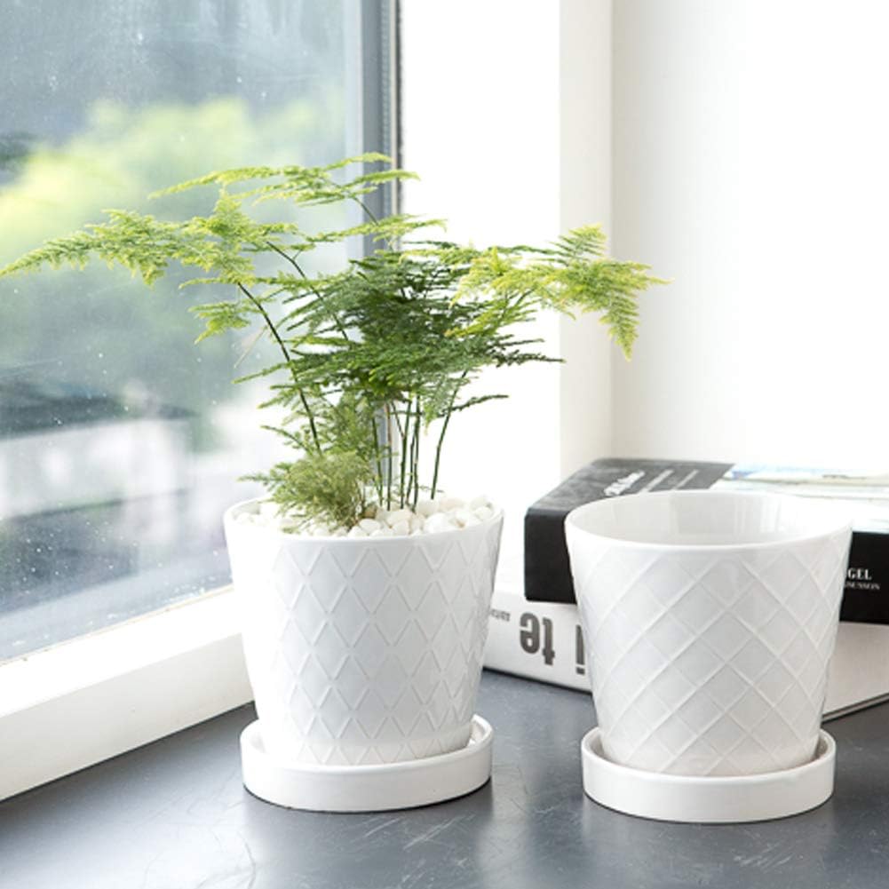 BUYMAX cone shaped pot with striped pattern adds modern decor touches.