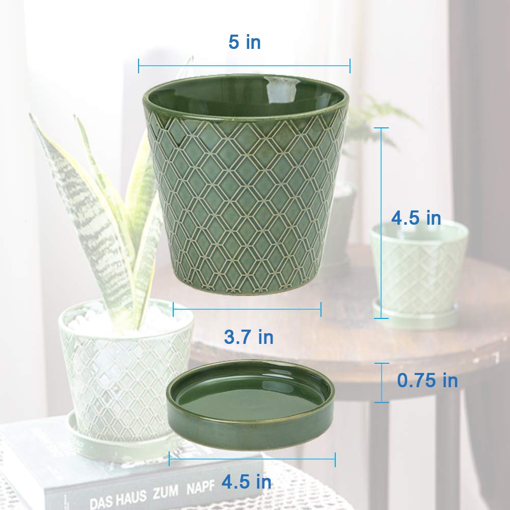 BuyMAX desktop-friendly pots for windowsill decoration and offices