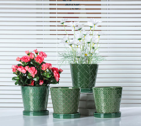 BuyMAX drainage-hole pot highlighting built-in drainage for watering control