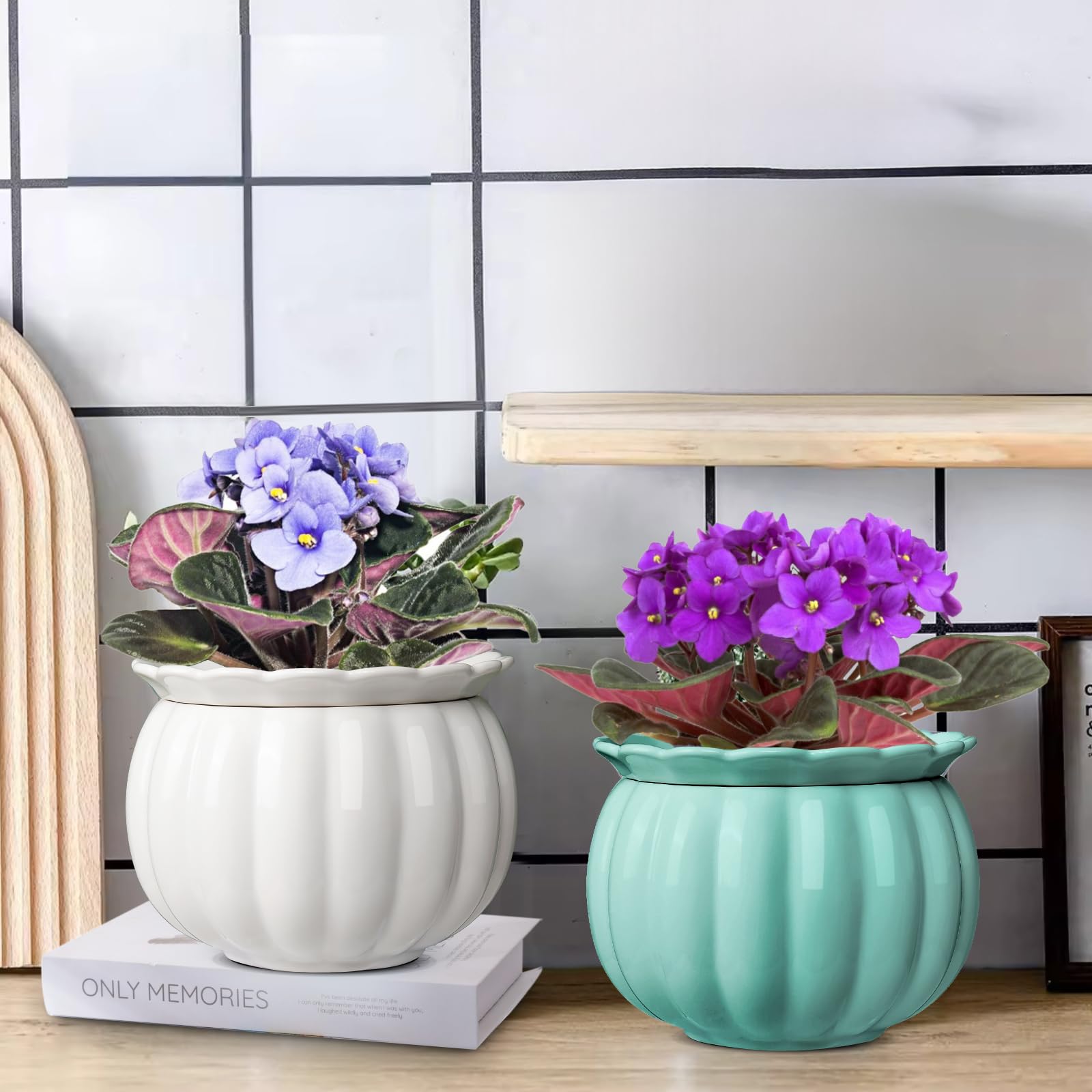 BUYMAX gift-ready design makes a thoughtful present for plant enthusiasts.