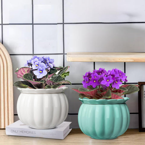BUYMAX gift-ready design makes a thoughtful present for plant enthusiasts.
