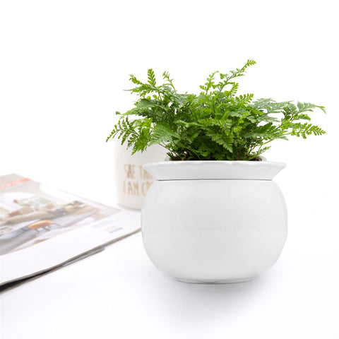 BUYMAX gift-ready self-watering pot ideal for birthdays or special occasions.