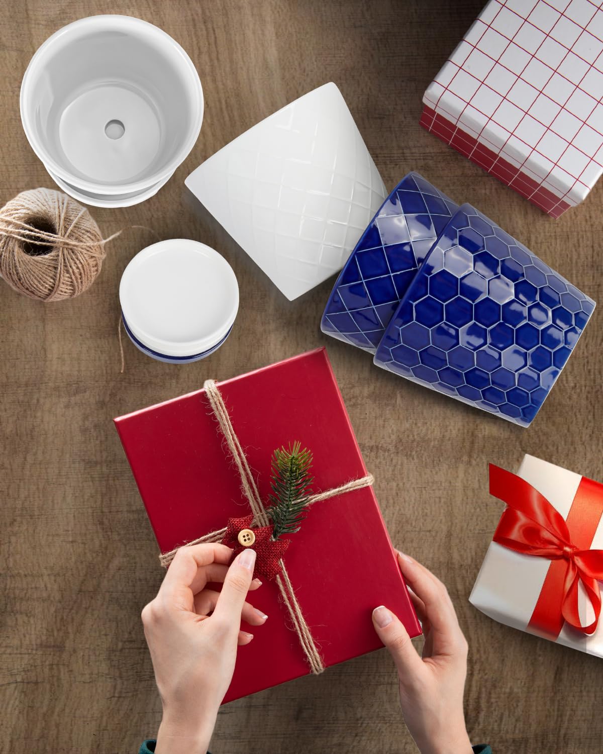 BUYMAX gift-set two white pots suitable for housewarming or office decor.