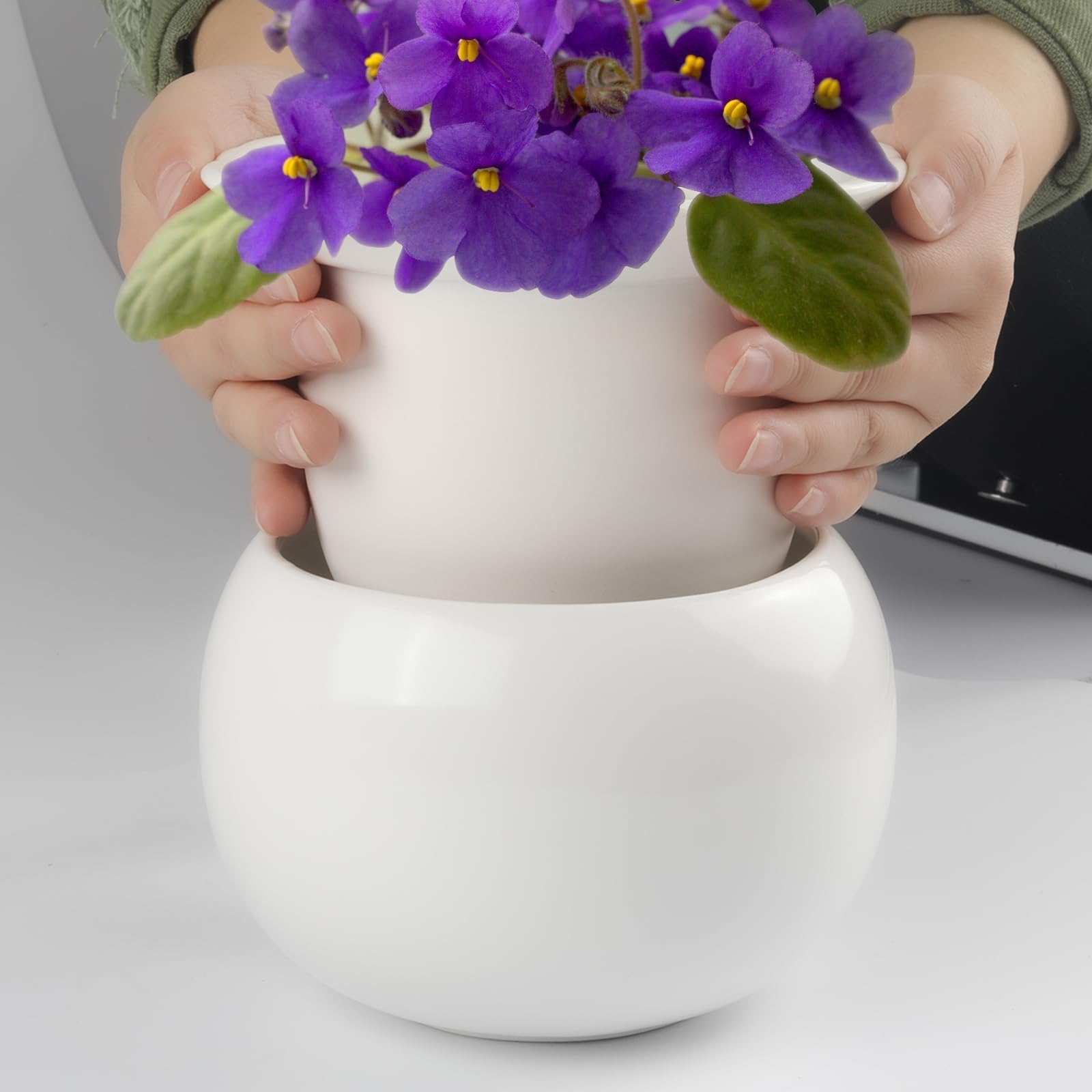 BUYMAX indoor plant accessory supports busy lifestyles with easy watering.