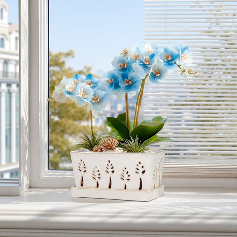 BUYMAX large rectangle ceramic pot suitable for indoor orchid display