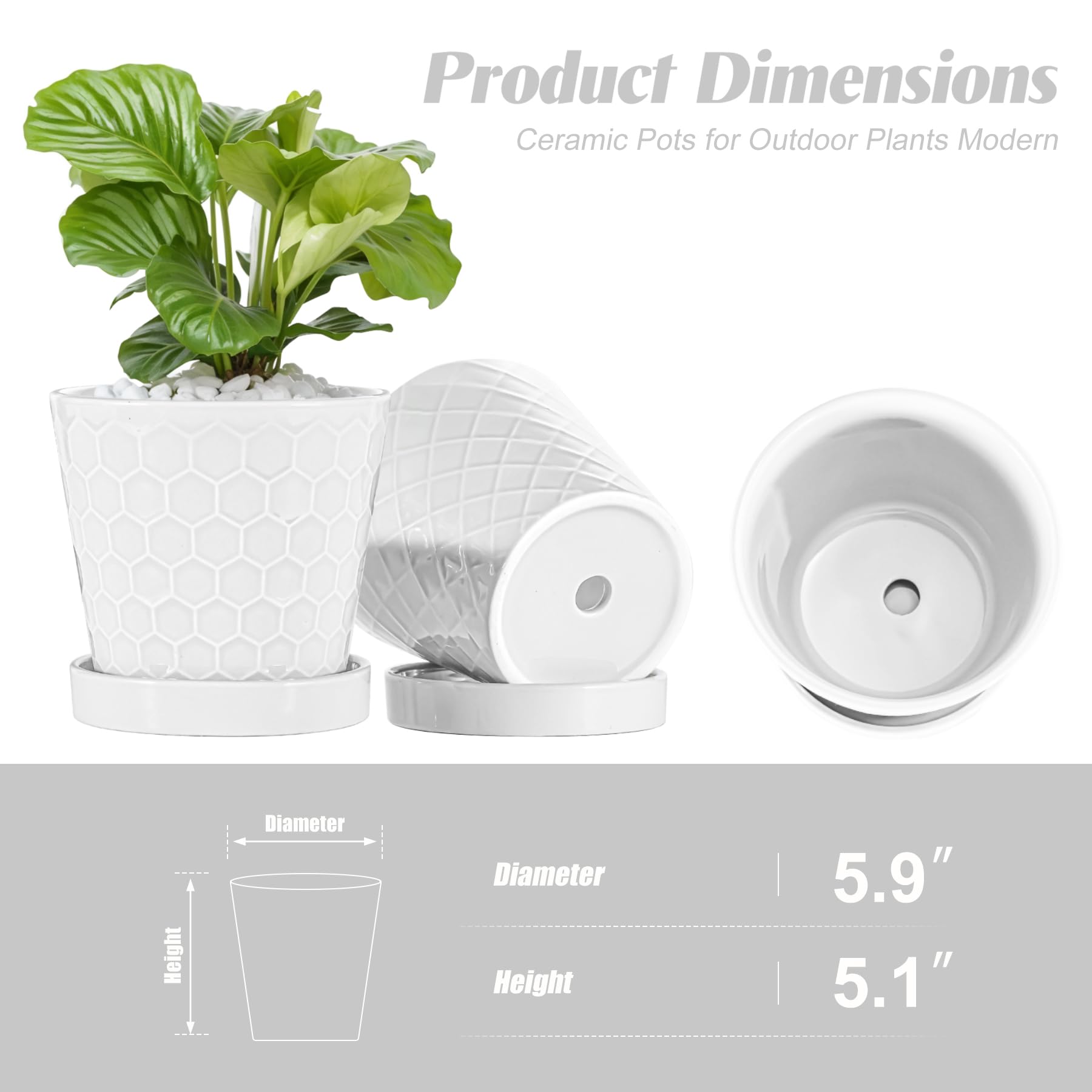 BUYMAX office-friendly plant pot set complements minimalist spaces and greenery.