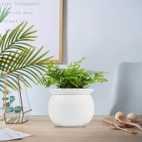BUYMAX outer pot with glazed finish adds elegant style to indoor plants.