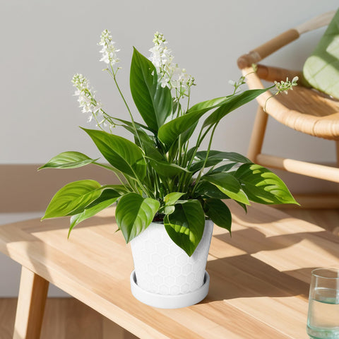 BUYMAX secure packaging ensures safe arrival of the two pots.