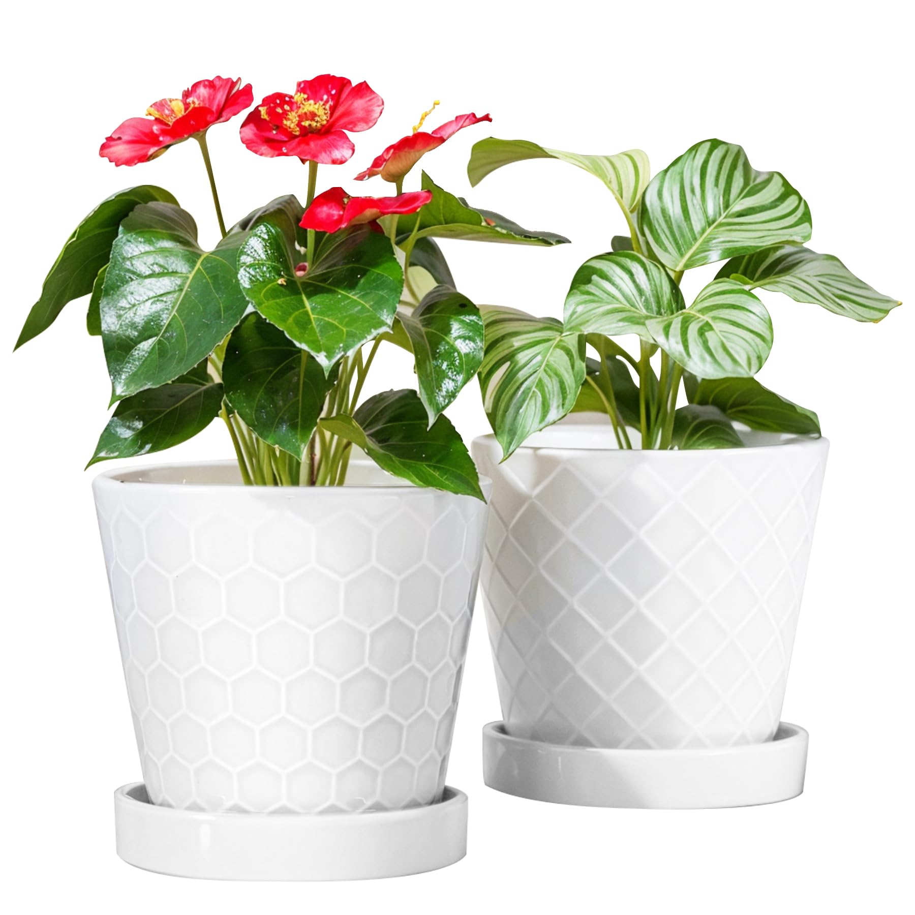 BUYMAX plant pot 6in cone design with drainage for healthy indoor plant roots.