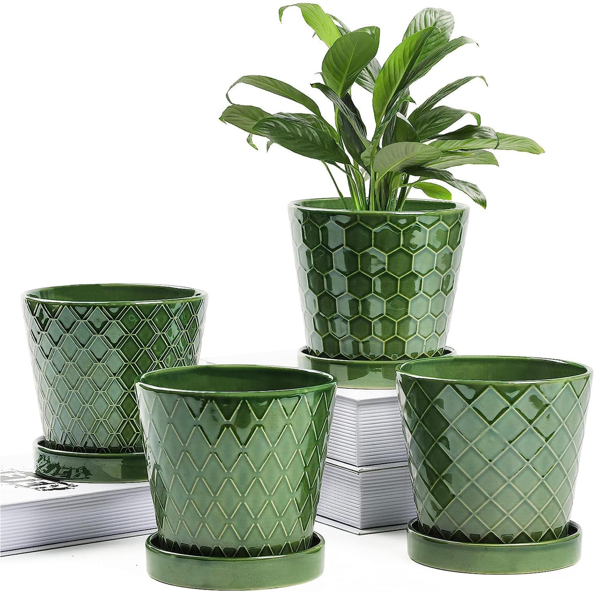 BuyMAX ceramic 5-inch plant pot with drainage for healthier roots