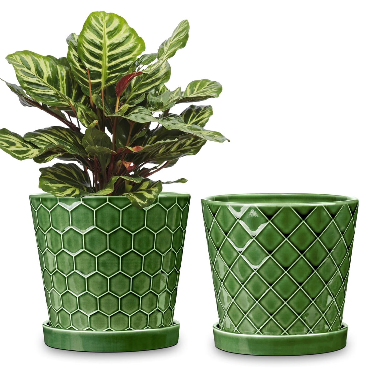 BUYMAX patina ceramic plant pot front view, ideal for stylish indoor displays.