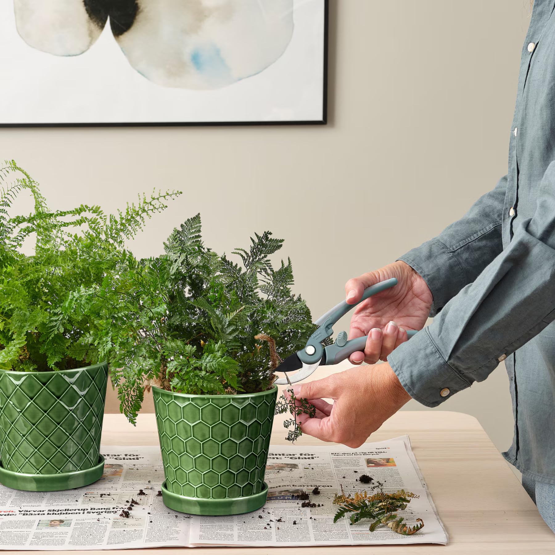 Succulents arranged in BUYMAX 6-inch pot for minimalist greens.