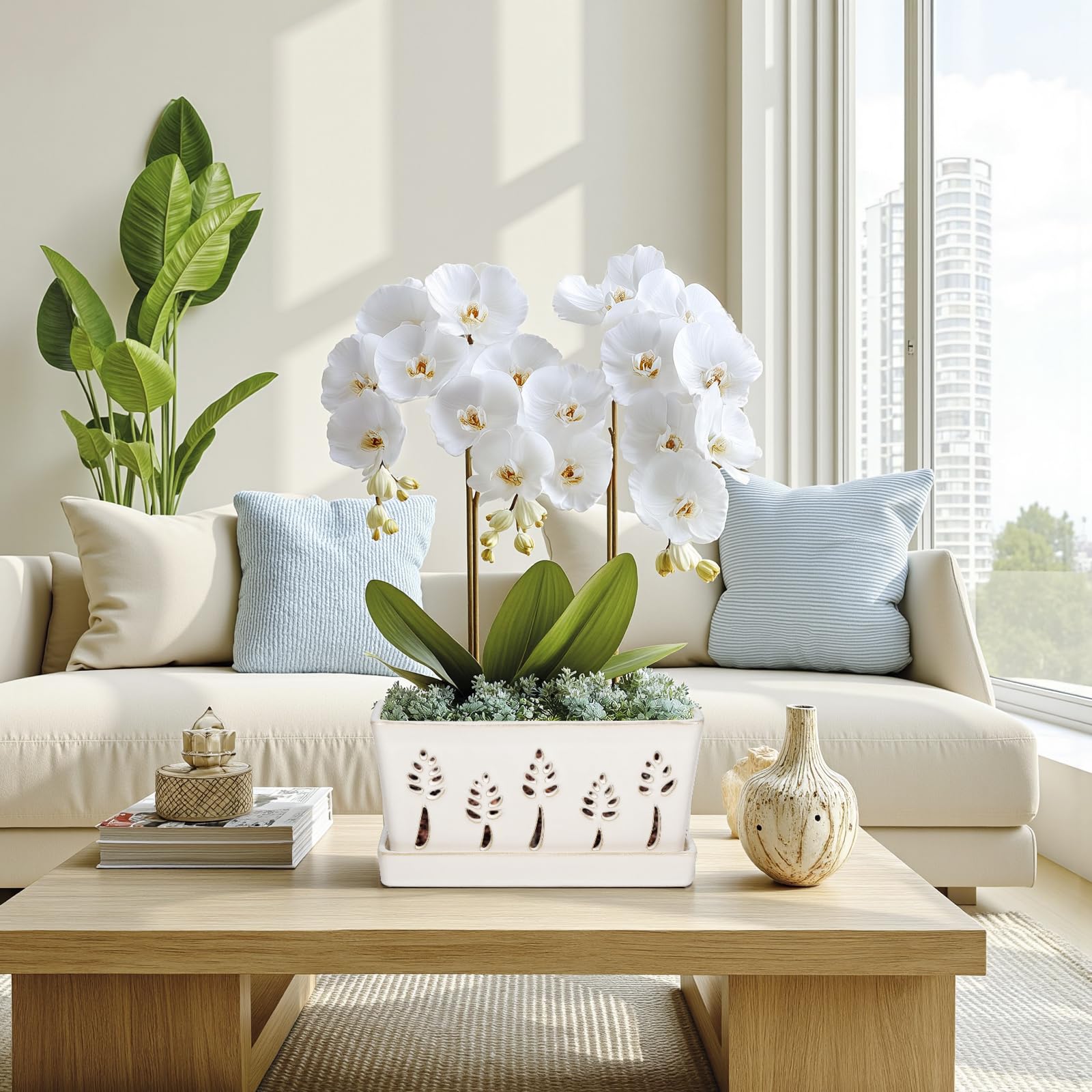 BUYMAX orchid pot shows airflow design promoting healthier roots and blooms