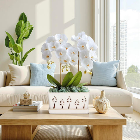 BUYMAX orchid pot shows airflow design promoting healthier roots and blooms