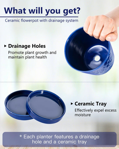 BUYMAX set of four blue ceramic pots for organizing herbs and succulents.