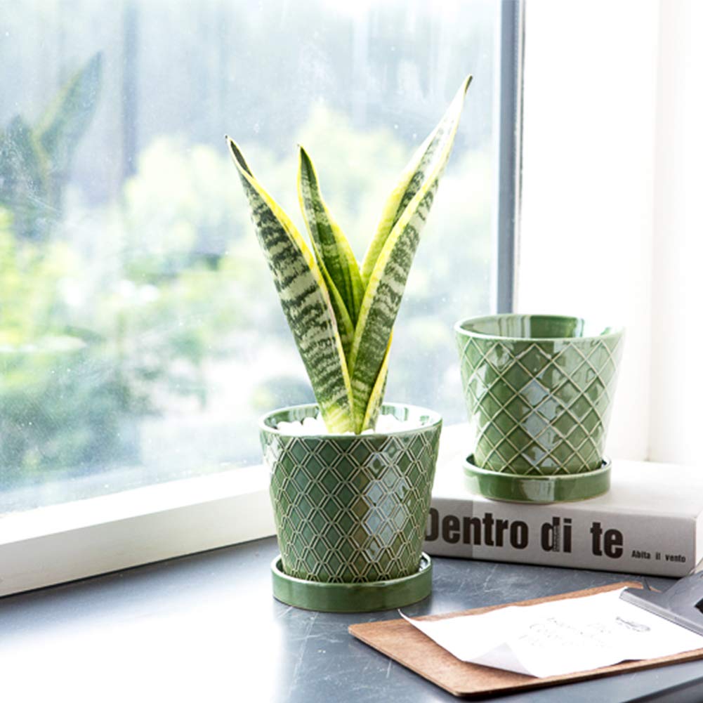 BuyMAX set of 4 compact pots ideal for herbs and succulents