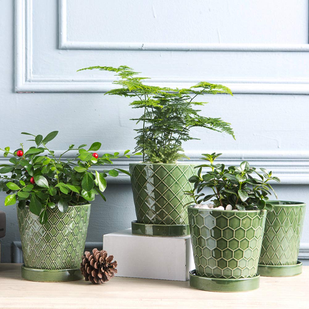 BuyMAX striped cone design pot adds modern style to desks