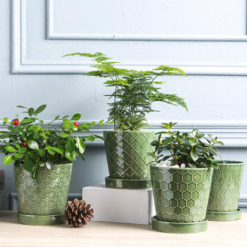 BuyMAX striped cone design pot adds modern style to desks