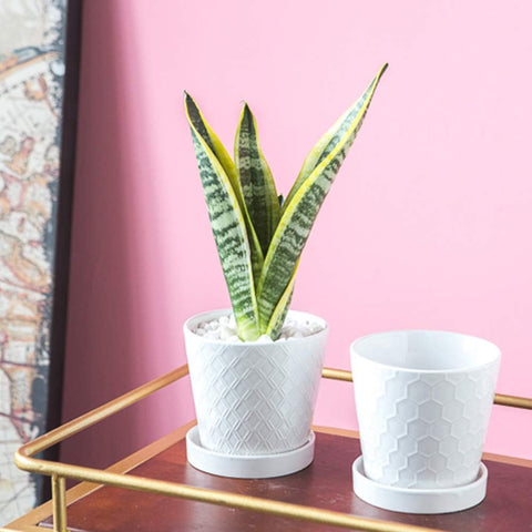 BUYMAX white pot fits windowsill and office spaces as decor.