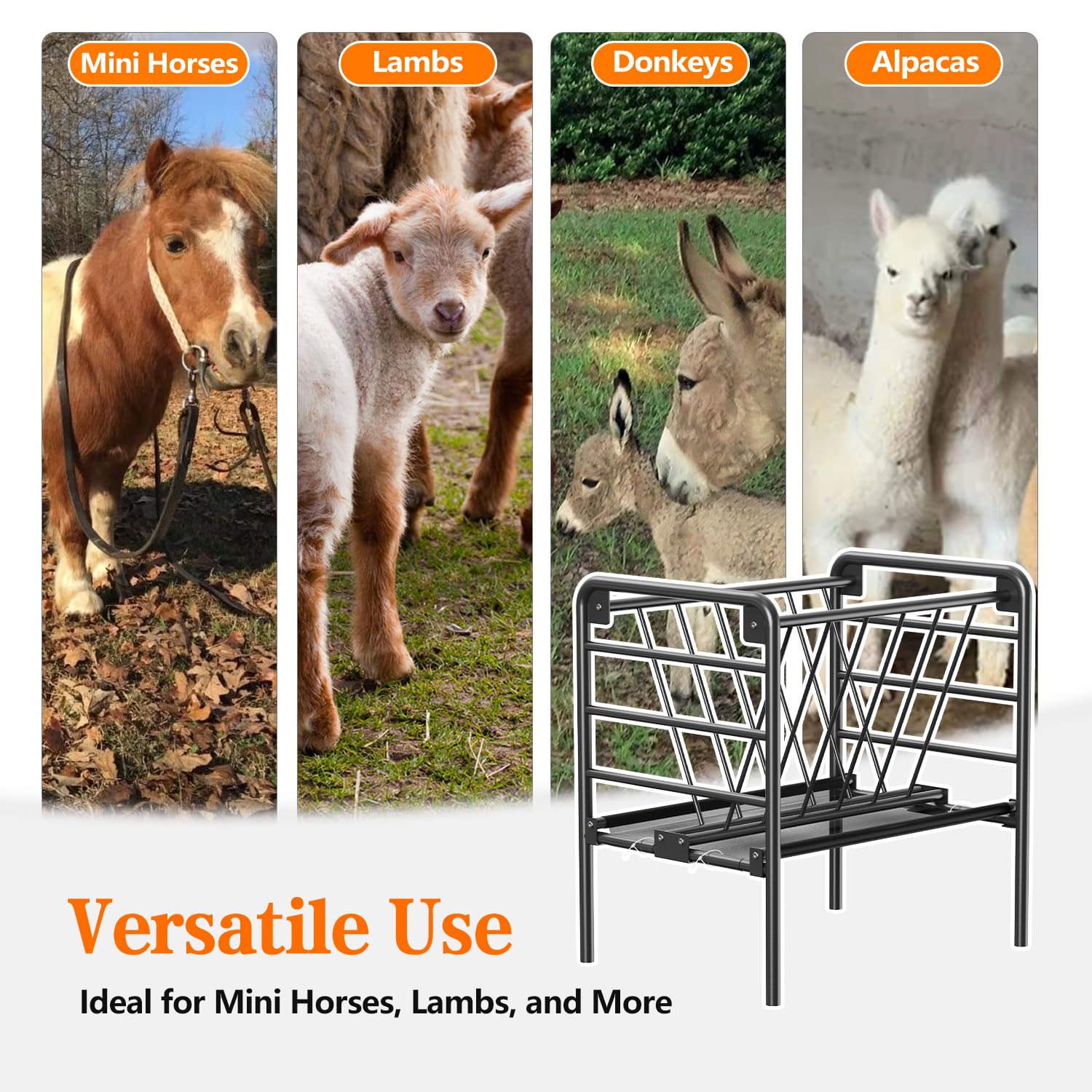 BUYYAH feeder features wide grass-catch design for easy feeding.