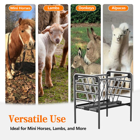 BUYYAH feeder features wide grass-catch design for easy feeding.