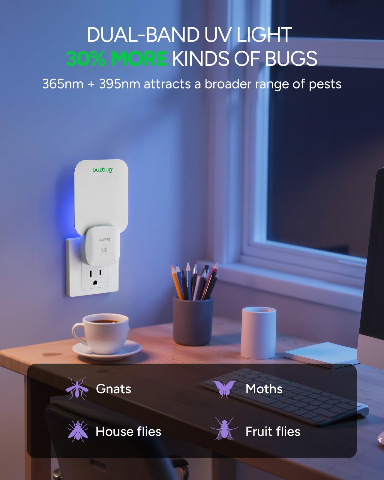 Buzbug indoor insect trap placed in kitchen or living room for quiet protection