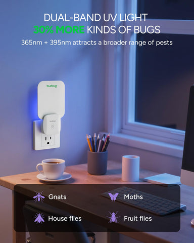 Buzbug indoor insect trap placed in kitchen or living room for quiet protection