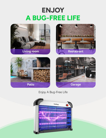 Buzbug bait-area nearby to boost attraction