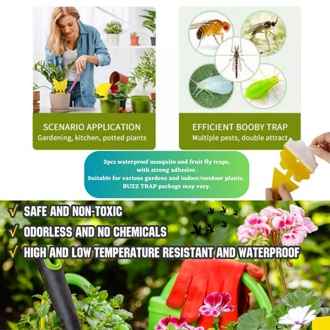 Buzz Trap non-toxic refill safe for homes with children and pets