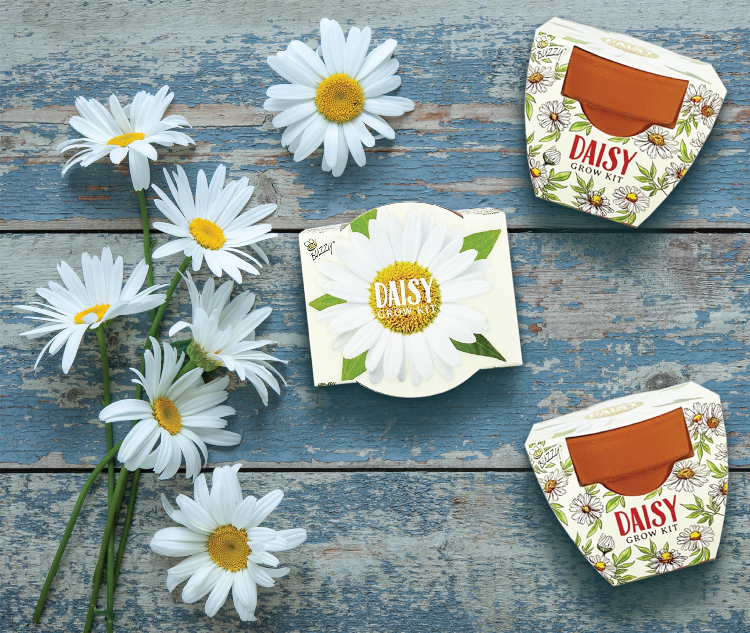 BUZZY Daydream instruction card simplifies planting and care for beginners.