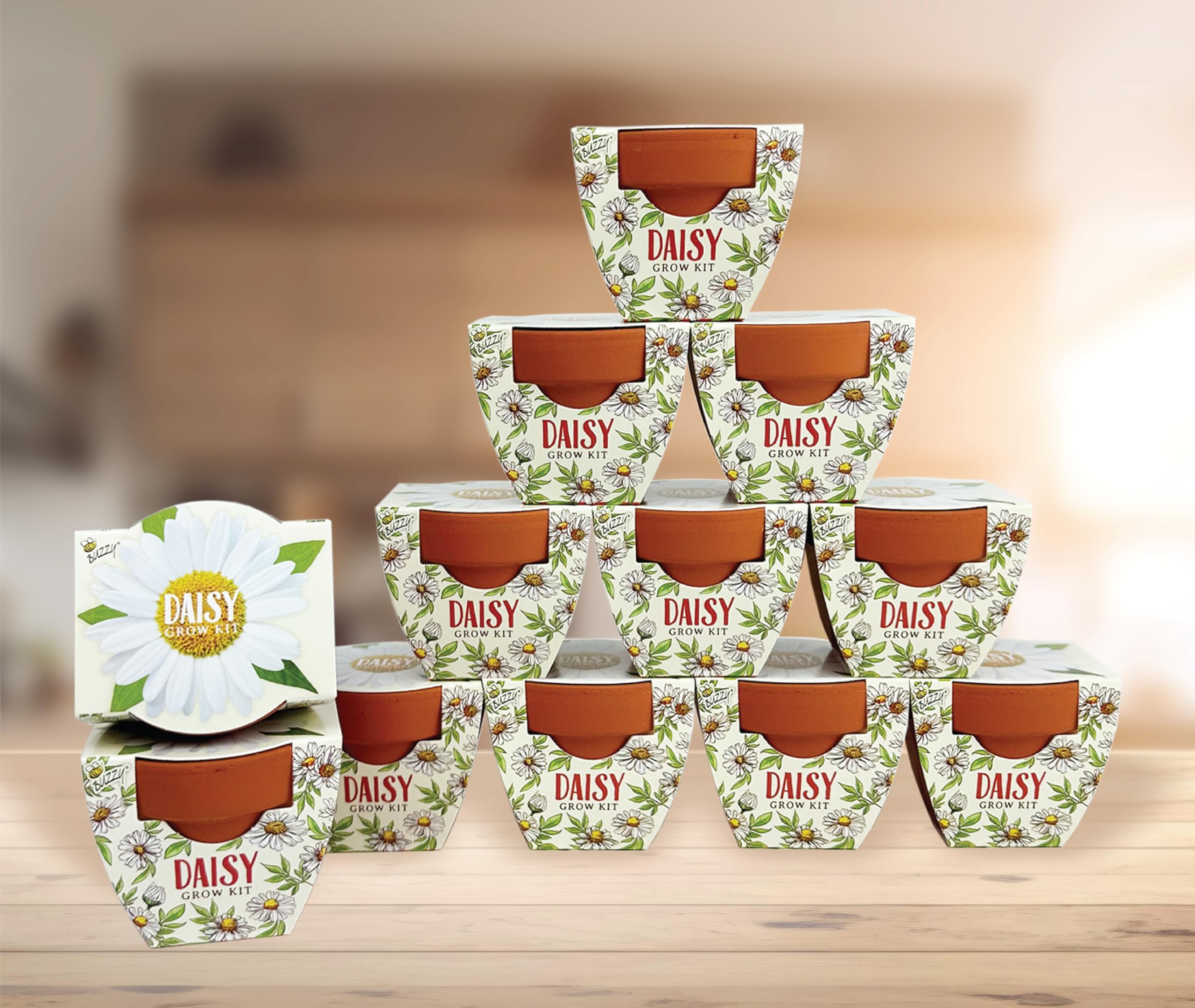 BUZZY Daydream gift set for weddings and parties invites relaxing gardening activities.