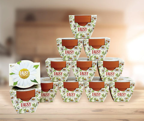 BUZZY Daydream gift set for weddings and parties invites relaxing gardening activities.