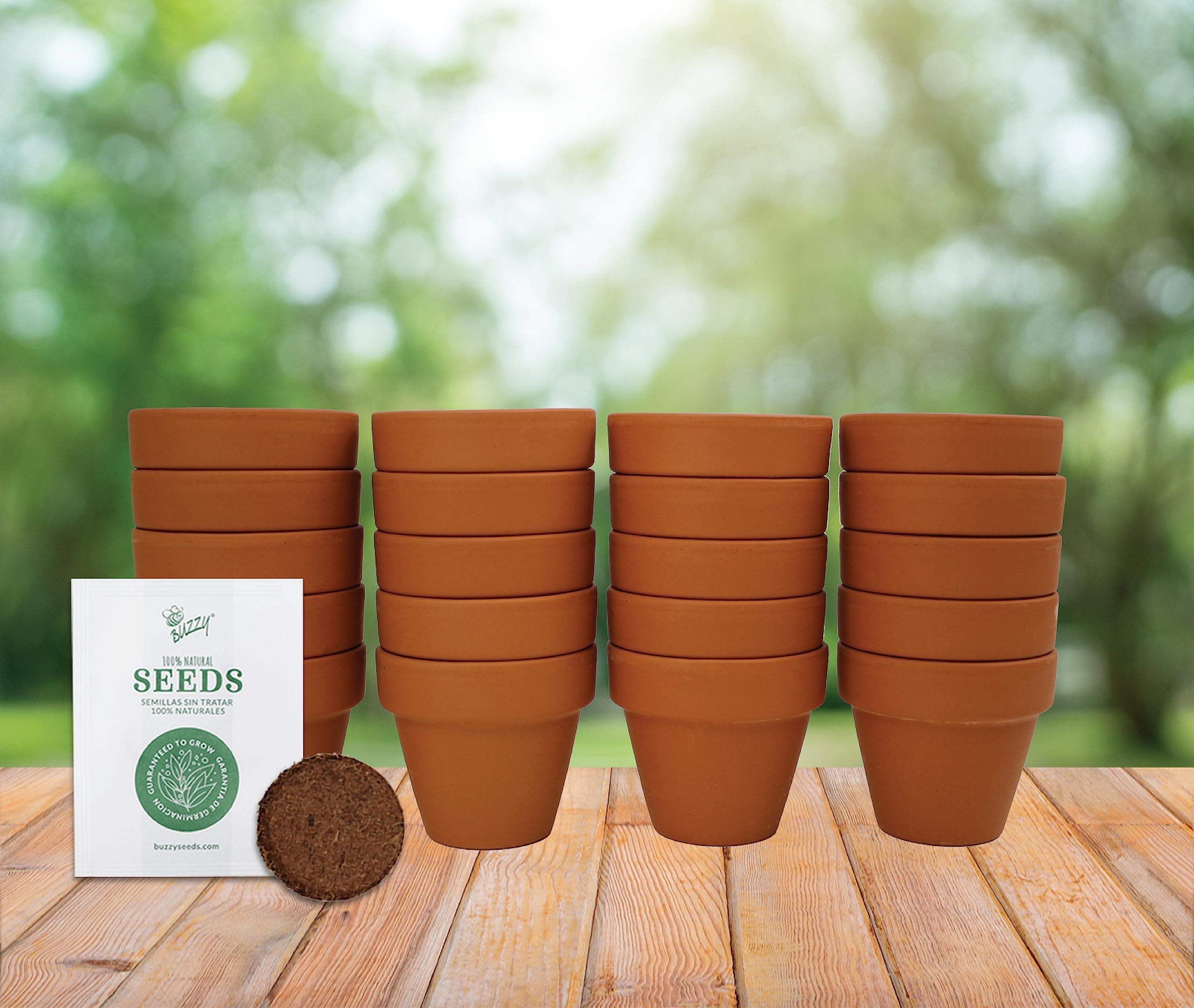 BUZZY favors and gift seed starter kit for thoughtful keepsakes.