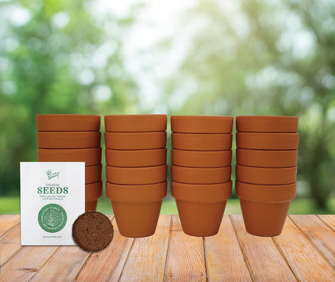 BUZZY favors and gift seed starter kit for thoughtful keepsakes.