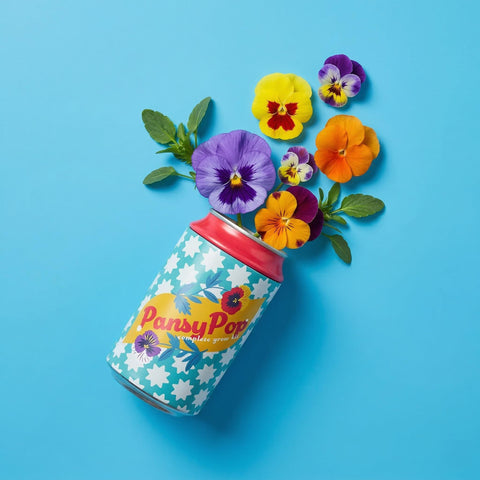 BUZZY Seeds Flower Grow Kit lavender can with soothing scent for your space