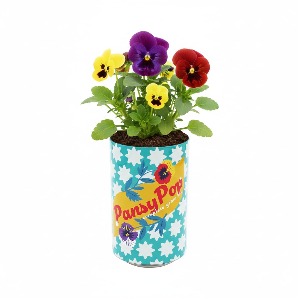 BUZZY Seeds Flower Grow Kit liners keep planting neat and clean