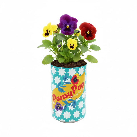 BUZZY Seeds Flower Grow Kit liners keep planting neat and clean