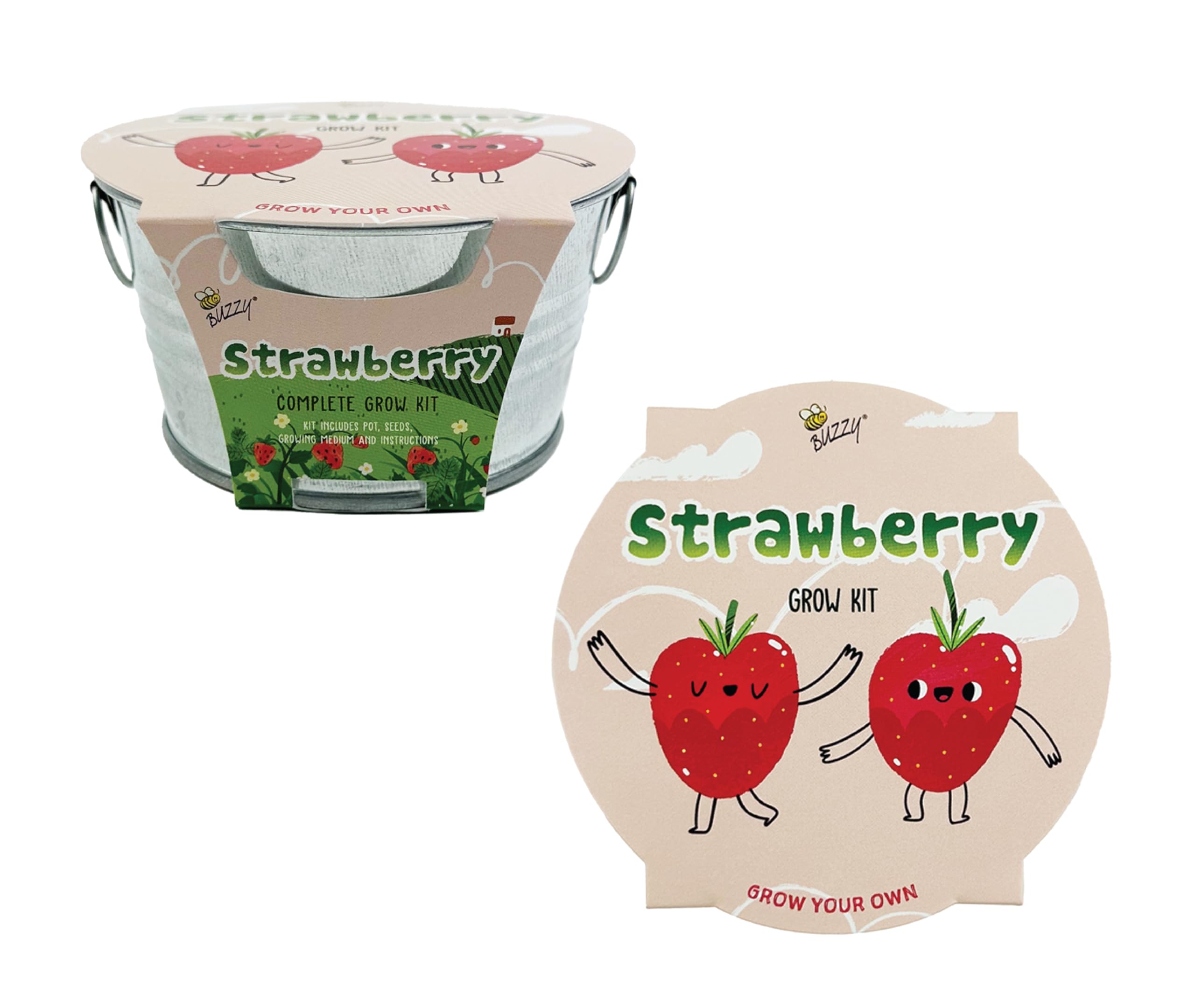 BUZZY Alpine strawberry seeds sprout with simple at-home care