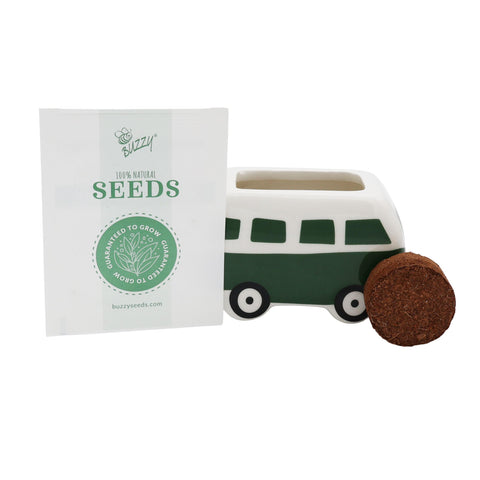 BUZZY Seeds gift set of mini planters, a charming gardening present.