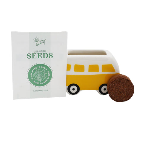 BUZZY Seeds bus planter on a sunny windowsill, suited for small-space gardening.