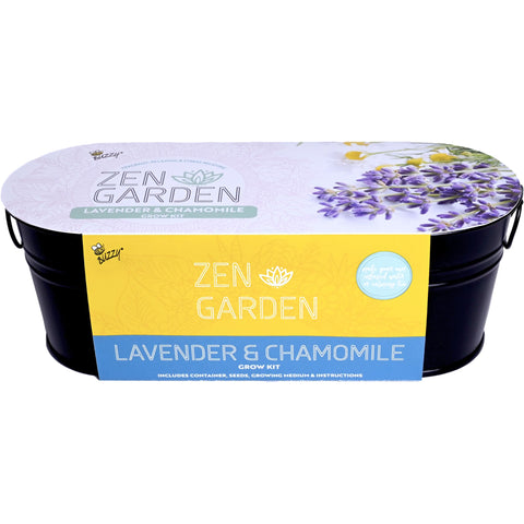 Buzzy Seeds chamomile lavender seed pack ready for indoor planting and easy home growth.