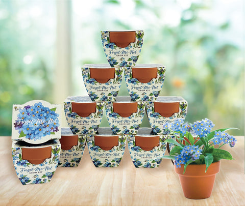 BUZZY Daydream forget-me-not seed packets jumpstart a gentle meditative gardening project.