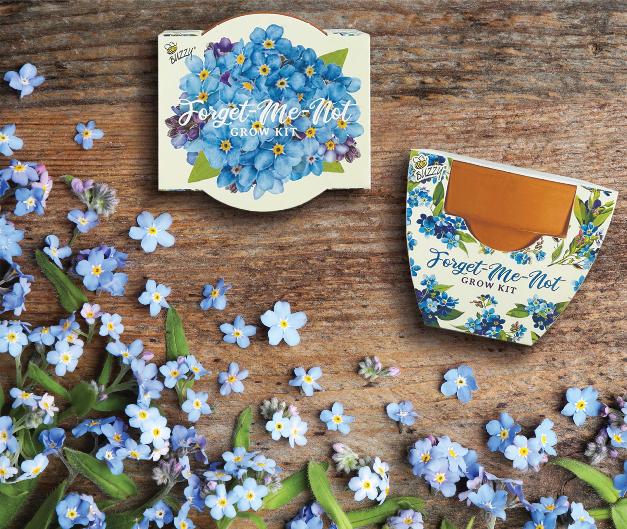 BUZZY Daydream step-by-step planting guide makes home gardening simple and satisfying.
